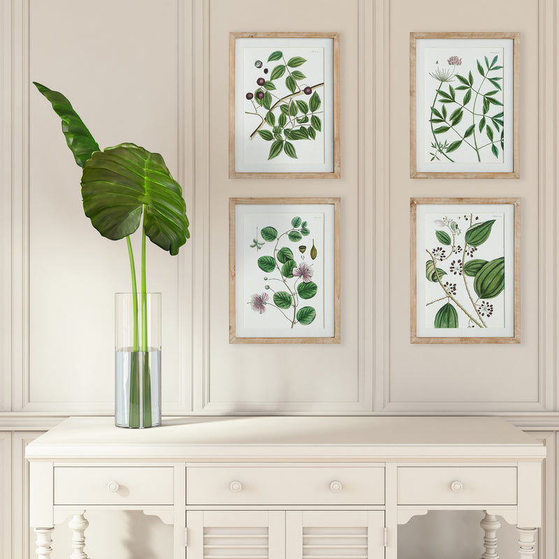 Design Shop Verdant Branch Prints, Set Of 4