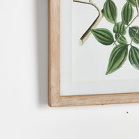 Design Shop Verdant Branch Prints, Set Of 4