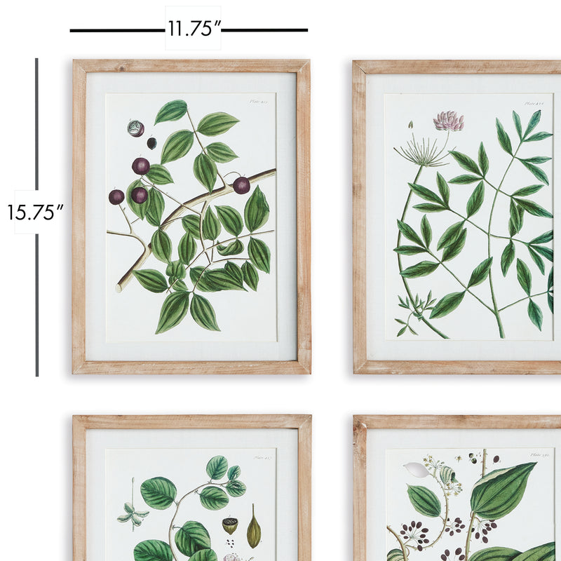 Design Shop Verdant Branch Prints, Set Of 4