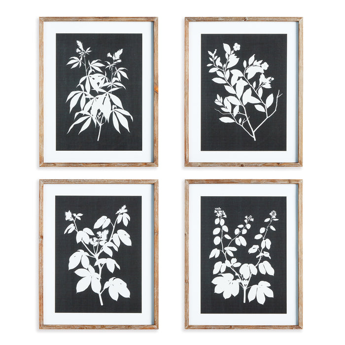Design Shop Monochrome Botanical Prints, Set Of 4