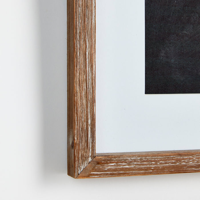 Design Shop Monochrome Botanical Prints, Set Of 4