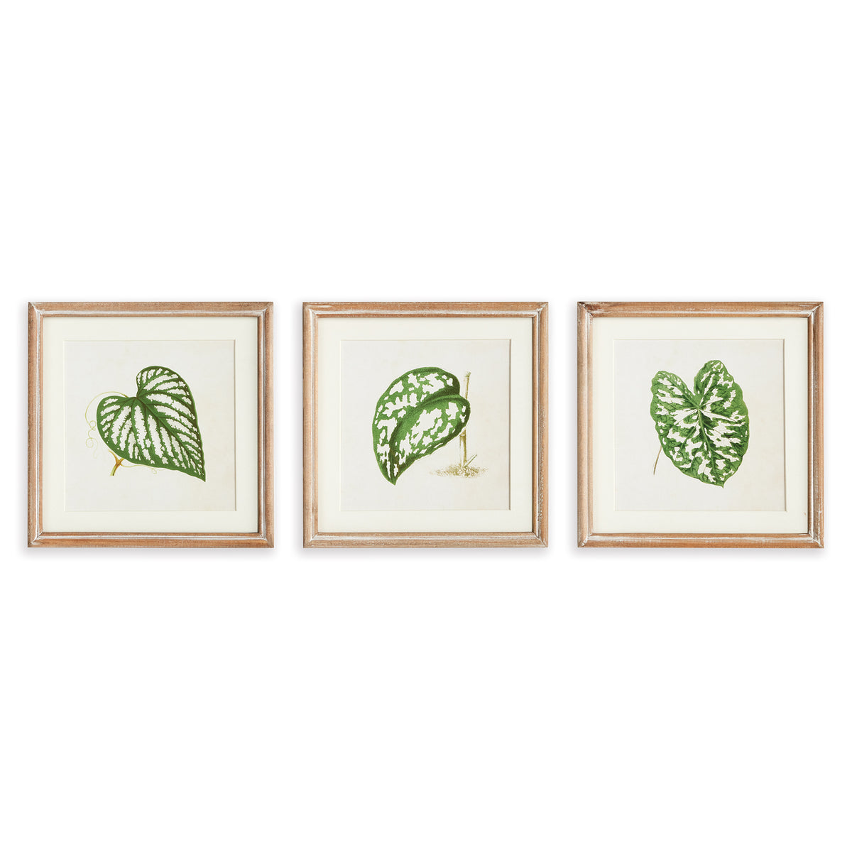 Design Shop Leaf Cuttings Petite Prints, Set Of 3