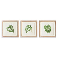 Design Shop Leaf Cuttings Petite Prints, Set Of 3