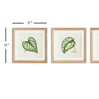 Design Shop Leaf Cuttings Petite Prints, Set Of 3
