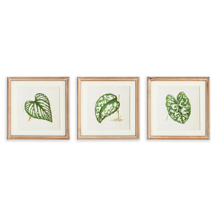 Design Shop Leaf Cuttings Petite Prints, Set Of 3