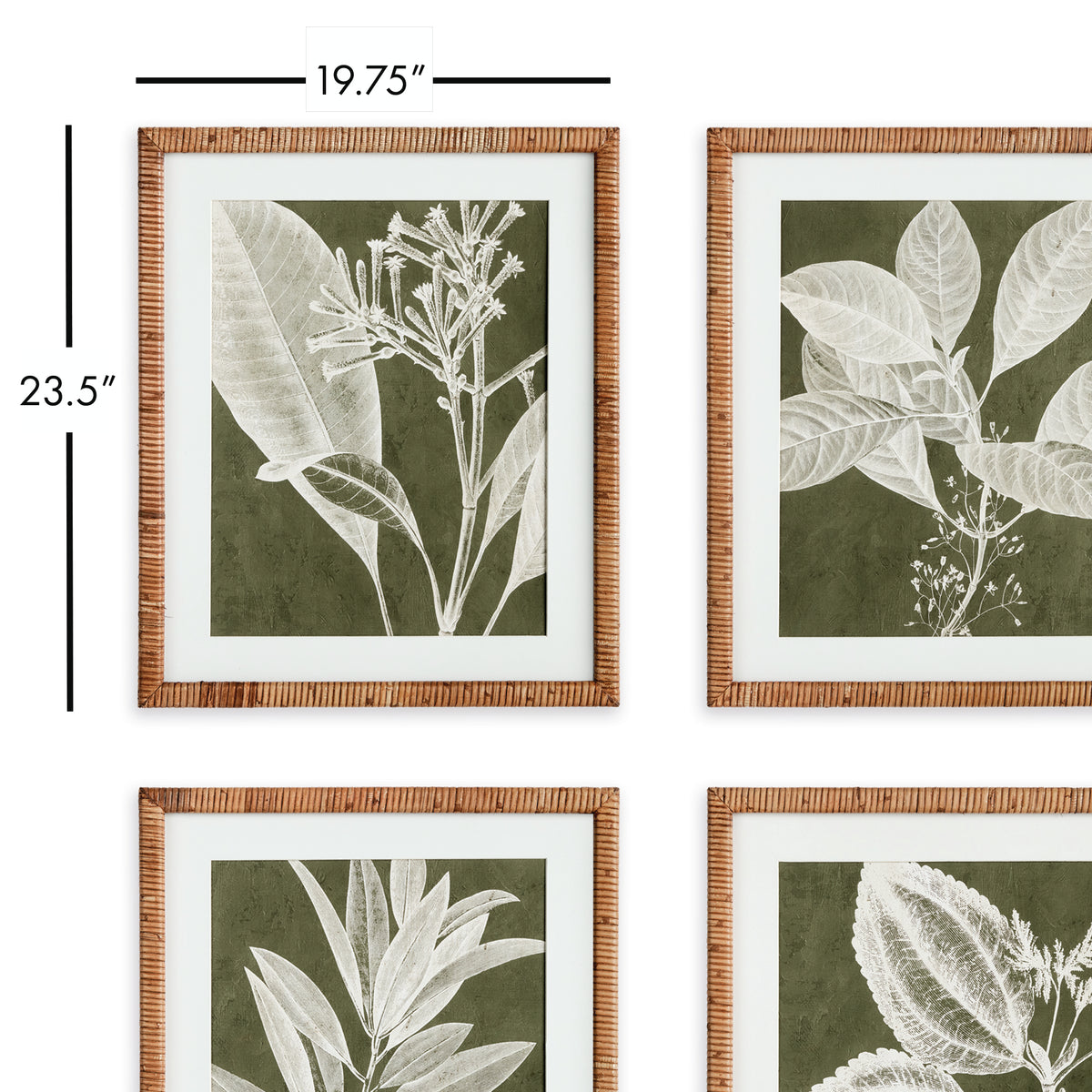 Design Shop Translucent Stem Prints, Set Of 4