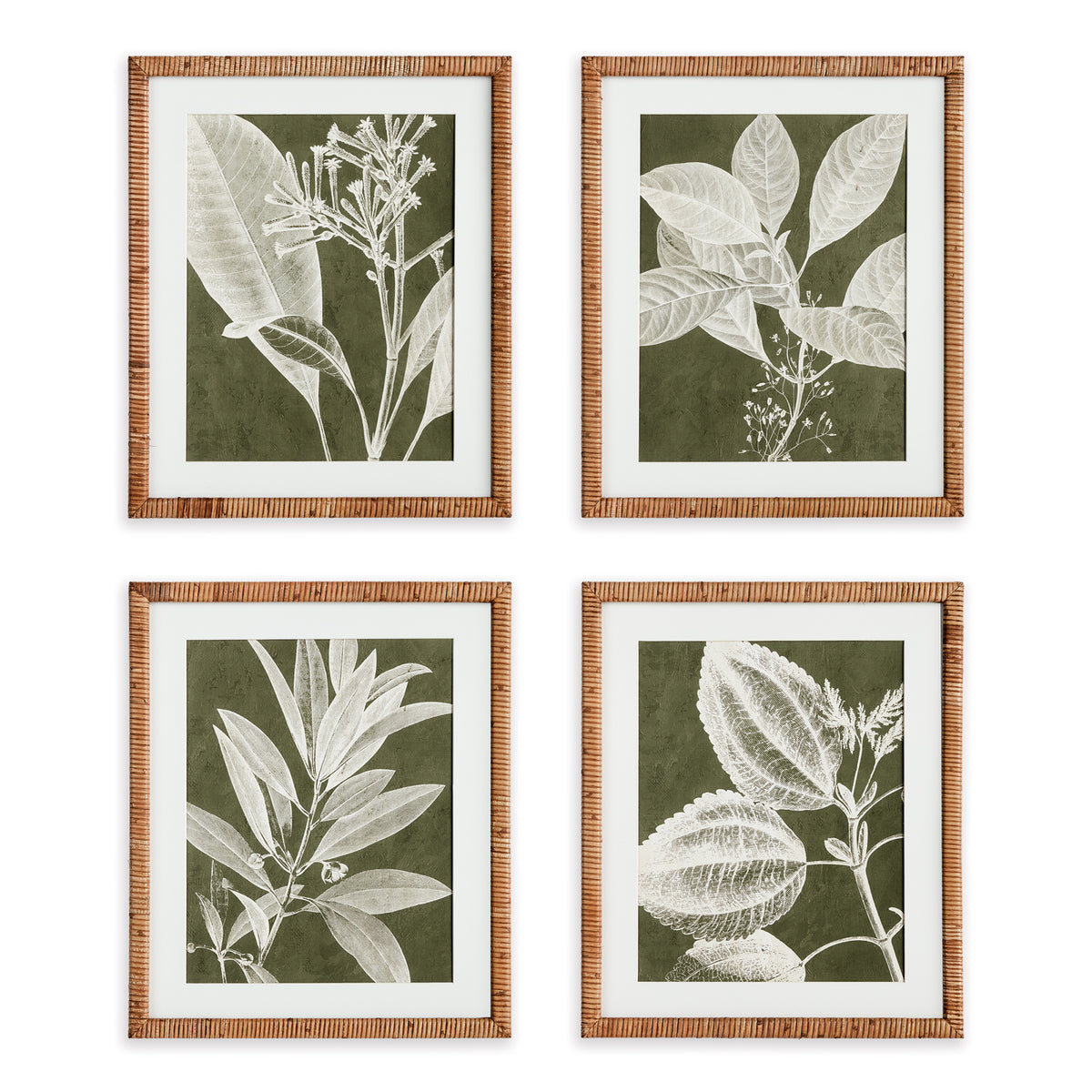 Design Shop Translucent Stem Prints, Set Of 4