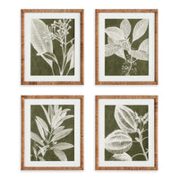 Design Shop Translucent Stem Prints, Set Of 4