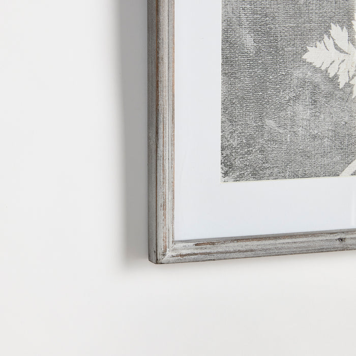 Design Shop Blooming Queen Anne'S Lace Prints, Set Of 2