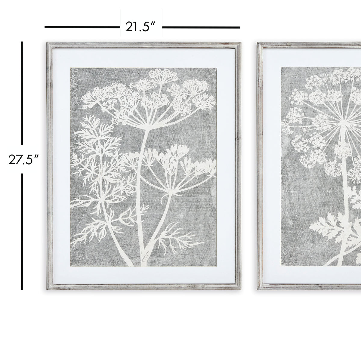 Design Shop Blooming Queen Anne'S Lace Prints, Set Of 2
