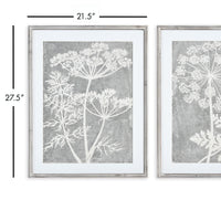 Design Shop Blooming Queen Anne'S Lace Prints, Set Of 2