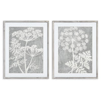 Design Shop Blooming Queen Anne'S Lace Prints, Set Of 2