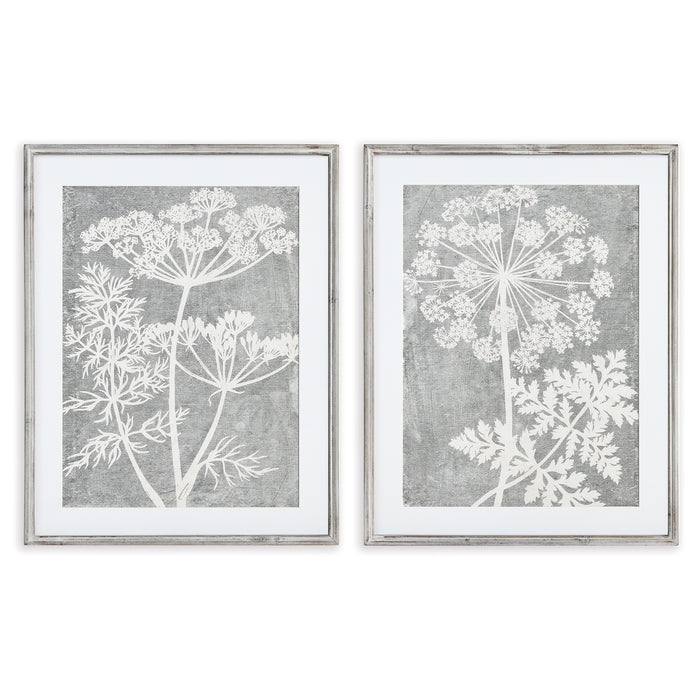 Design Shop Blooming Queen Anne'S Lace Prints, Set Of 2