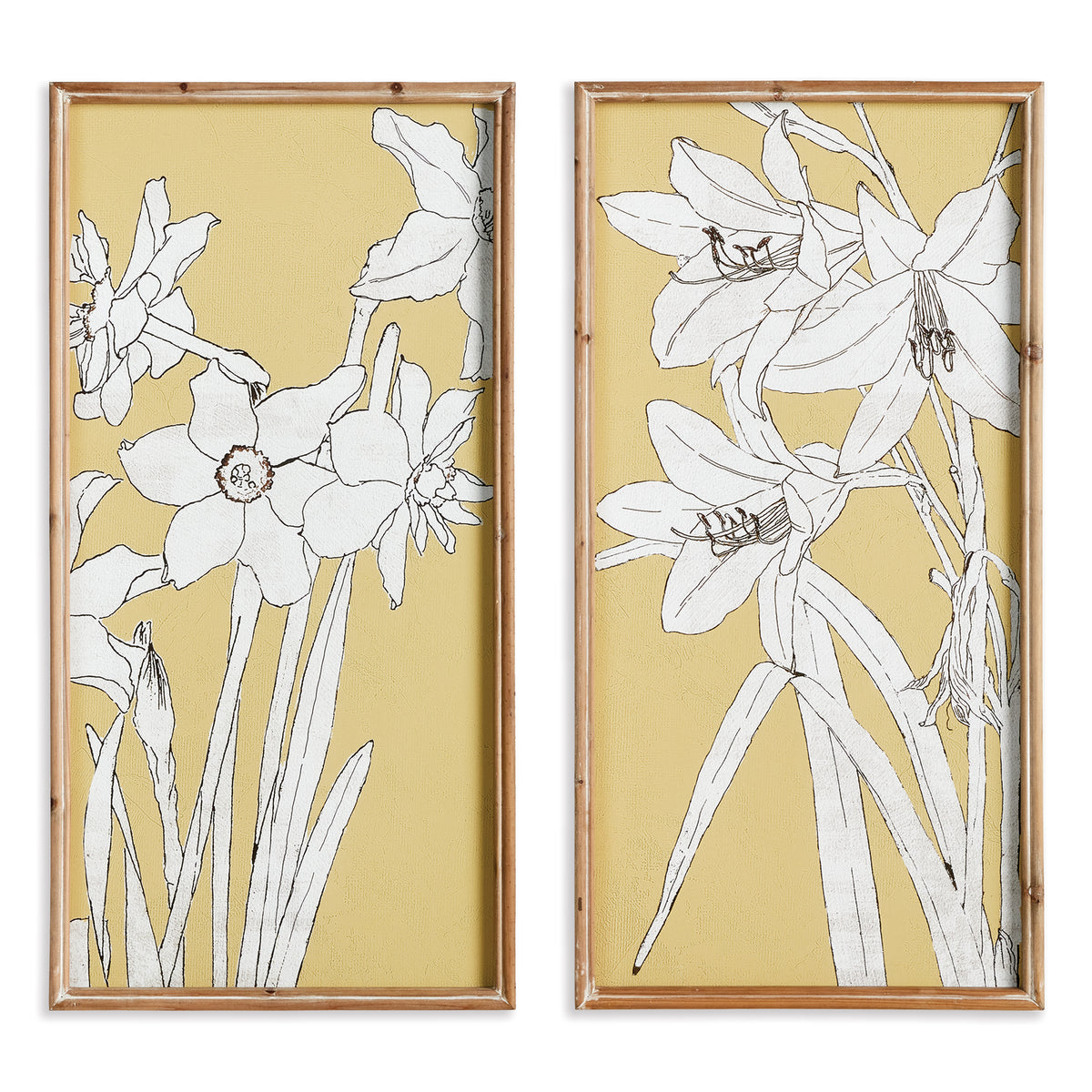 Design Shop Flowering Amaryllis Prints, Set Of 2