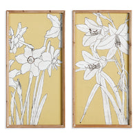 Design Shop Flowering Amaryllis Prints, Set Of 2