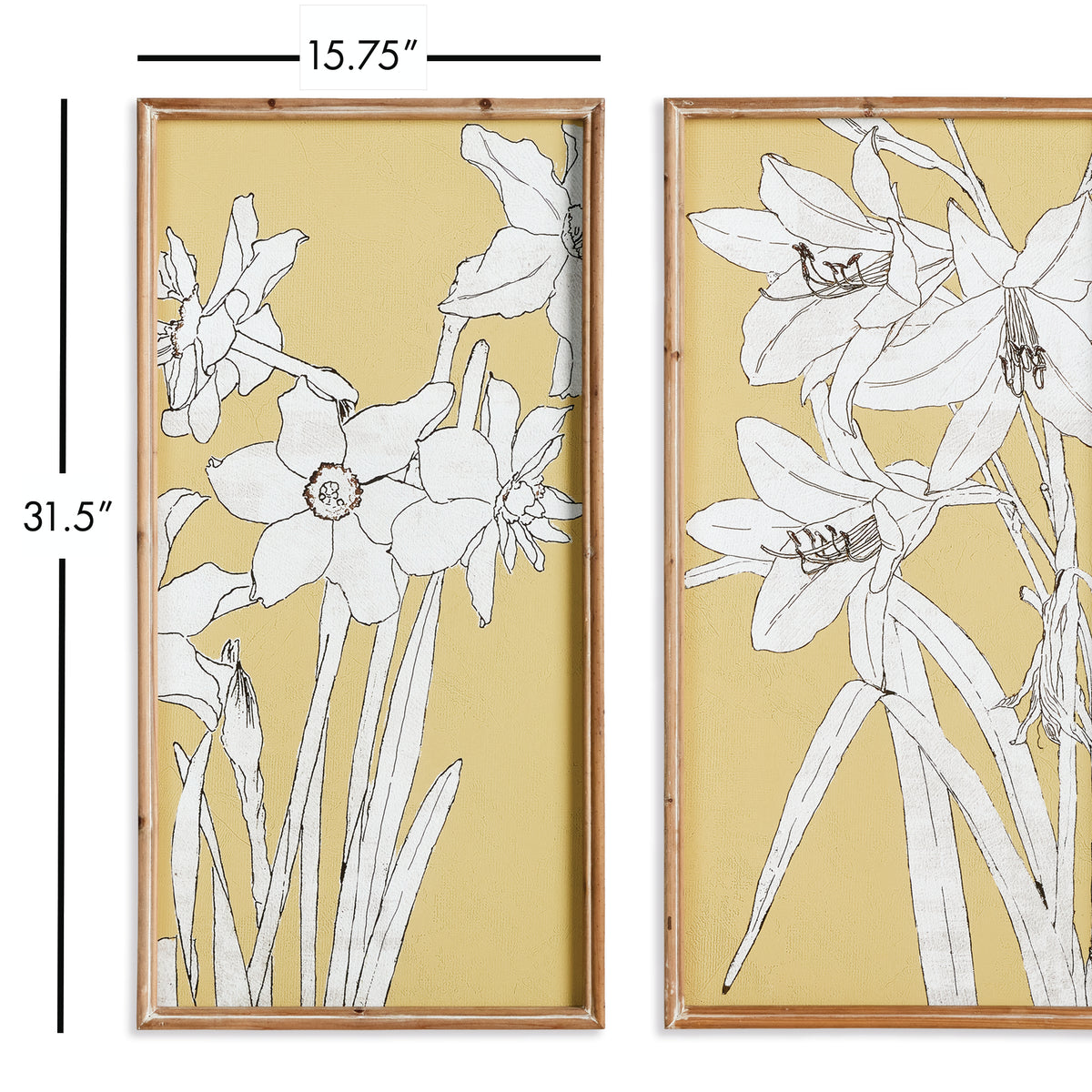 Design Shop Flowering Amaryllis Prints, Set Of 2