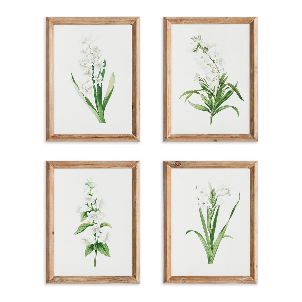 Design Shop Garden Bloom Prints, Set Of 4