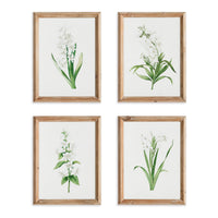 Design Shop Garden Bloom Prints, Set Of 4