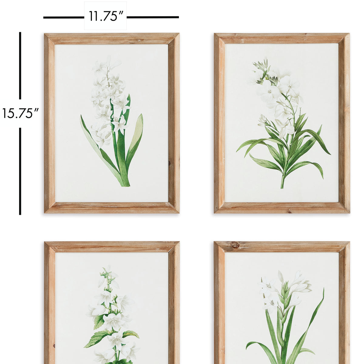 Design Shop Garden Bloom Prints, Set Of 4
