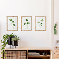 Design Shop Clover Cuttings Petite Prints, Set Of 3