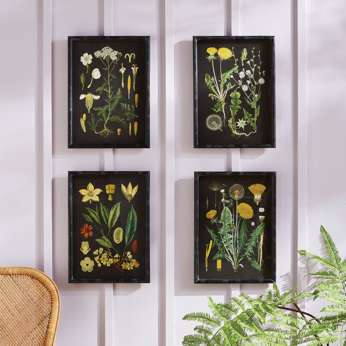Design Shop Golden Botanical Study, Set Of 4