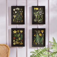 Design Shop Golden Botanical Study, Set Of 4