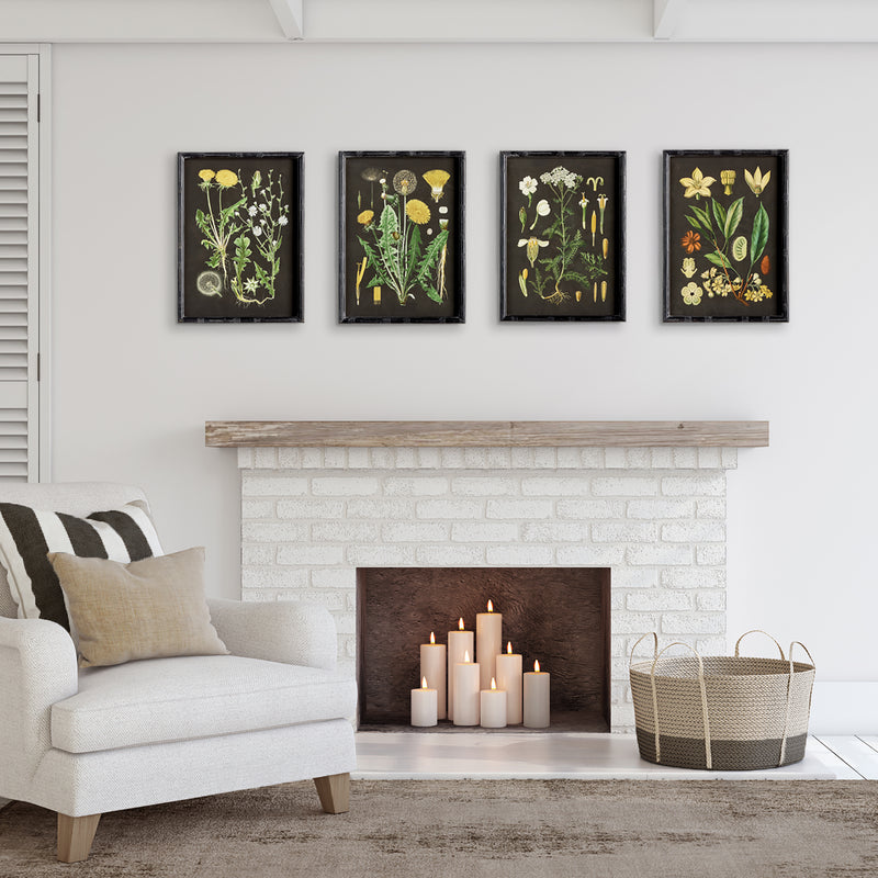 Design Shop Golden Botanical Study, Set Of 4
