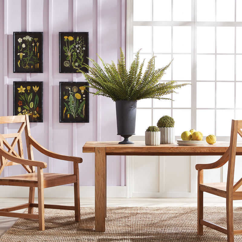 Design Shop Golden Botanical Study, Set Of 4