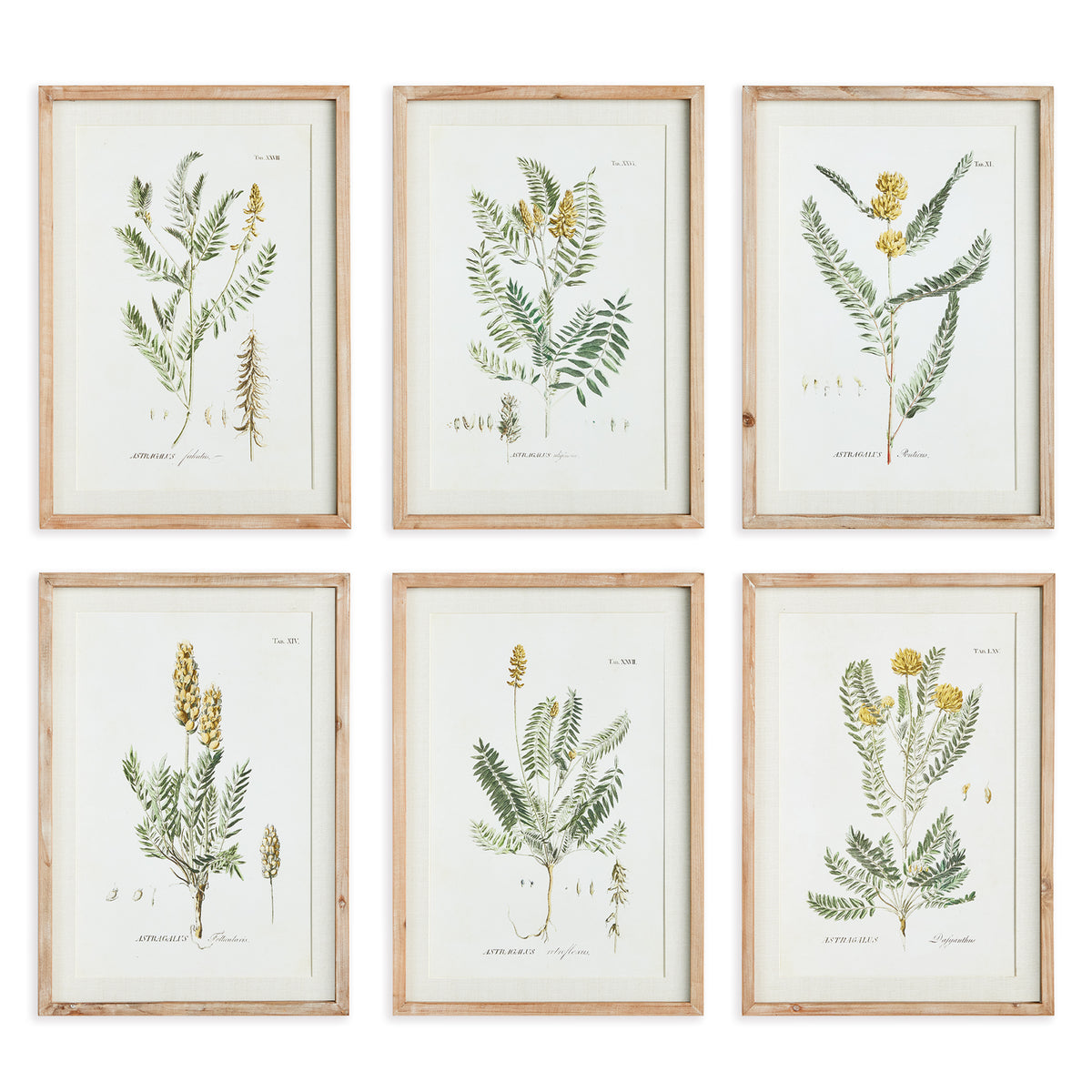 Design Shop Mid-Summer Blooms Prints, Set Of 6