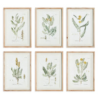Design Shop Mid-Summer Blooms Prints, Set Of 6