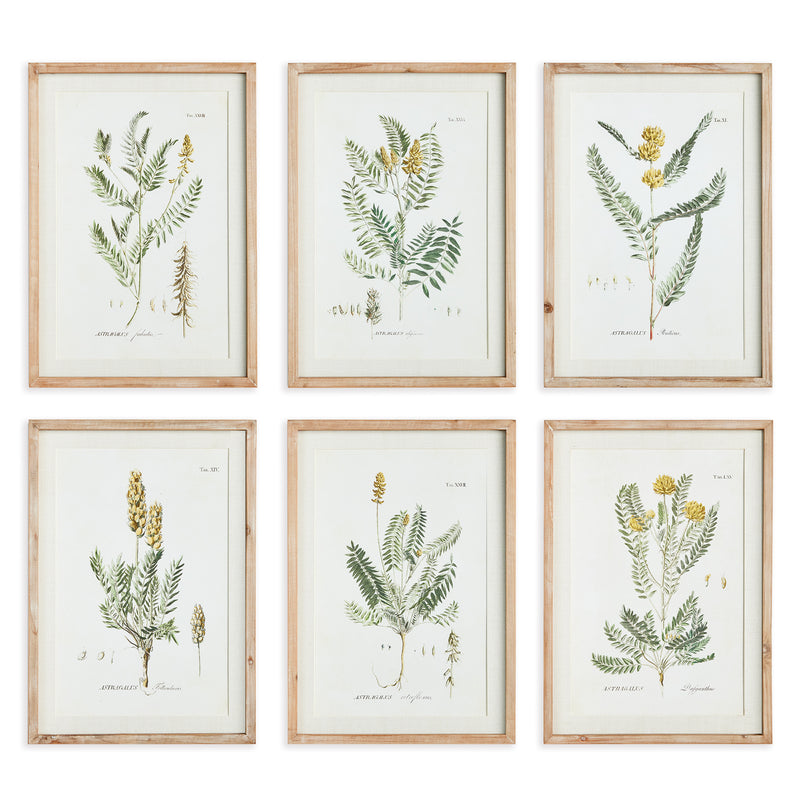 Design Shop Mid-Summer Blooms Prints, Set Of 6