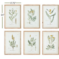 Design Shop Mid-Summer Blooms Prints, Set Of 6