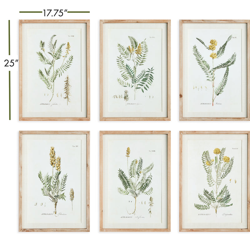 Design Shop Mid-Summer Blooms Prints, Set Of 6