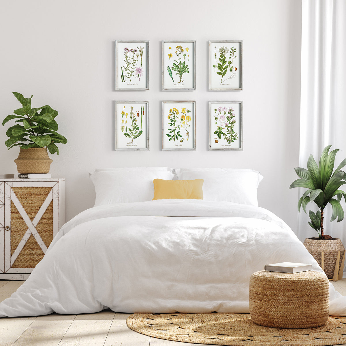 Design Shop Perennial Botanical Study, Set Of 6