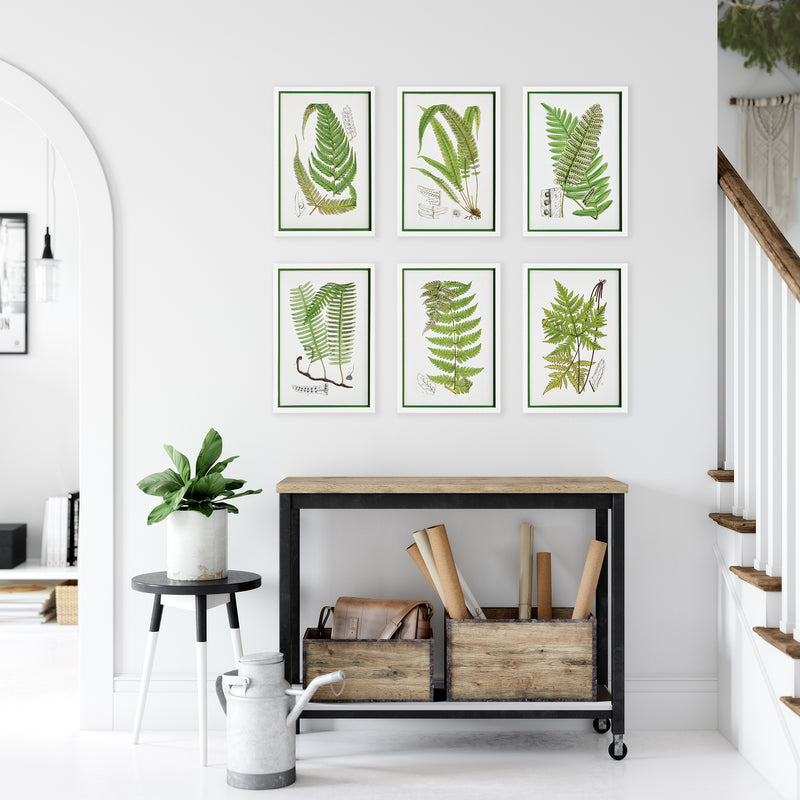 Design Shop Layered Fern Prints, Set Of 6
