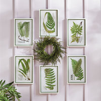 Design Shop Layered Fern Prints, Set Of 6