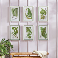 Design Shop Layered Fern Prints, Set Of 6