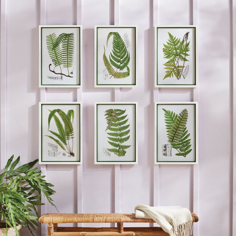 Design Shop Layered Fern Prints, Set Of 6
