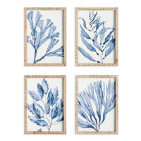 Design Shop Marine Prints, Set Of 4