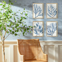 Design Shop Marine Prints, Set Of 4