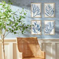 Design Shop Marine Prints, Set Of 4