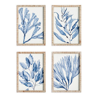 Design Shop Marine Prints, Set Of 4