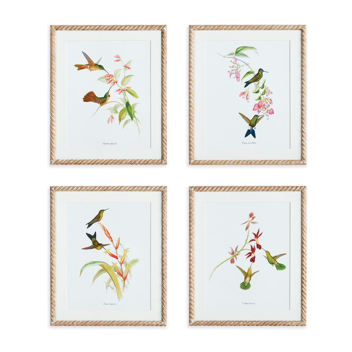 Design Shop Playful Hummingbird Prints, Set Of 4
