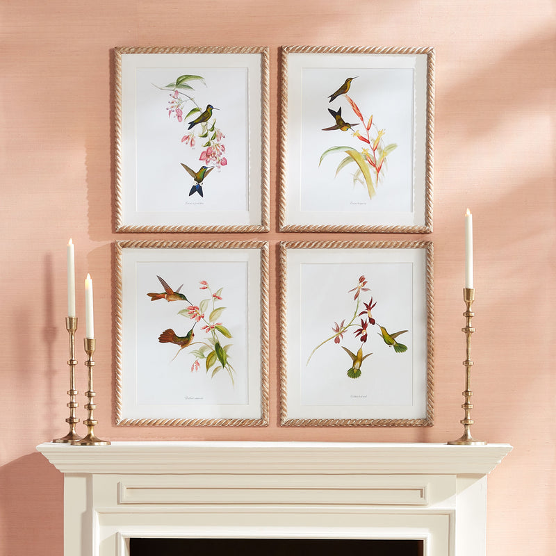 Design Shop Playful Hummingbird Prints, Set Of 4