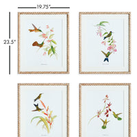 Design Shop Playful Hummingbird Prints, Set Of 4