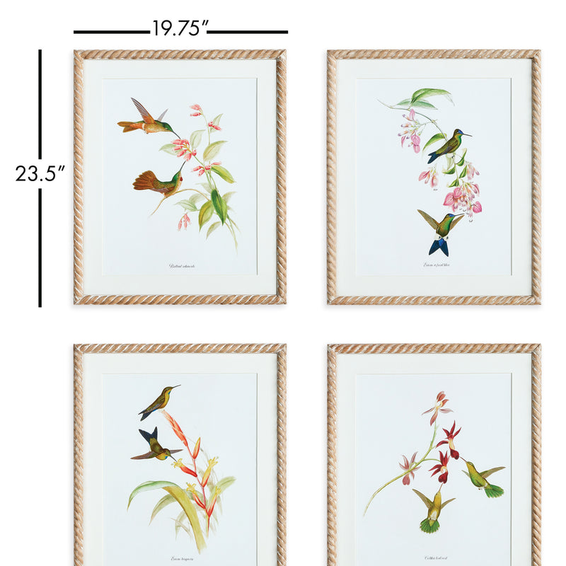 Design Shop Playful Hummingbird Prints, Set Of 4