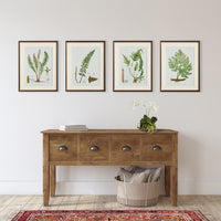Design Shop Structural Fern Study, Set Of 4