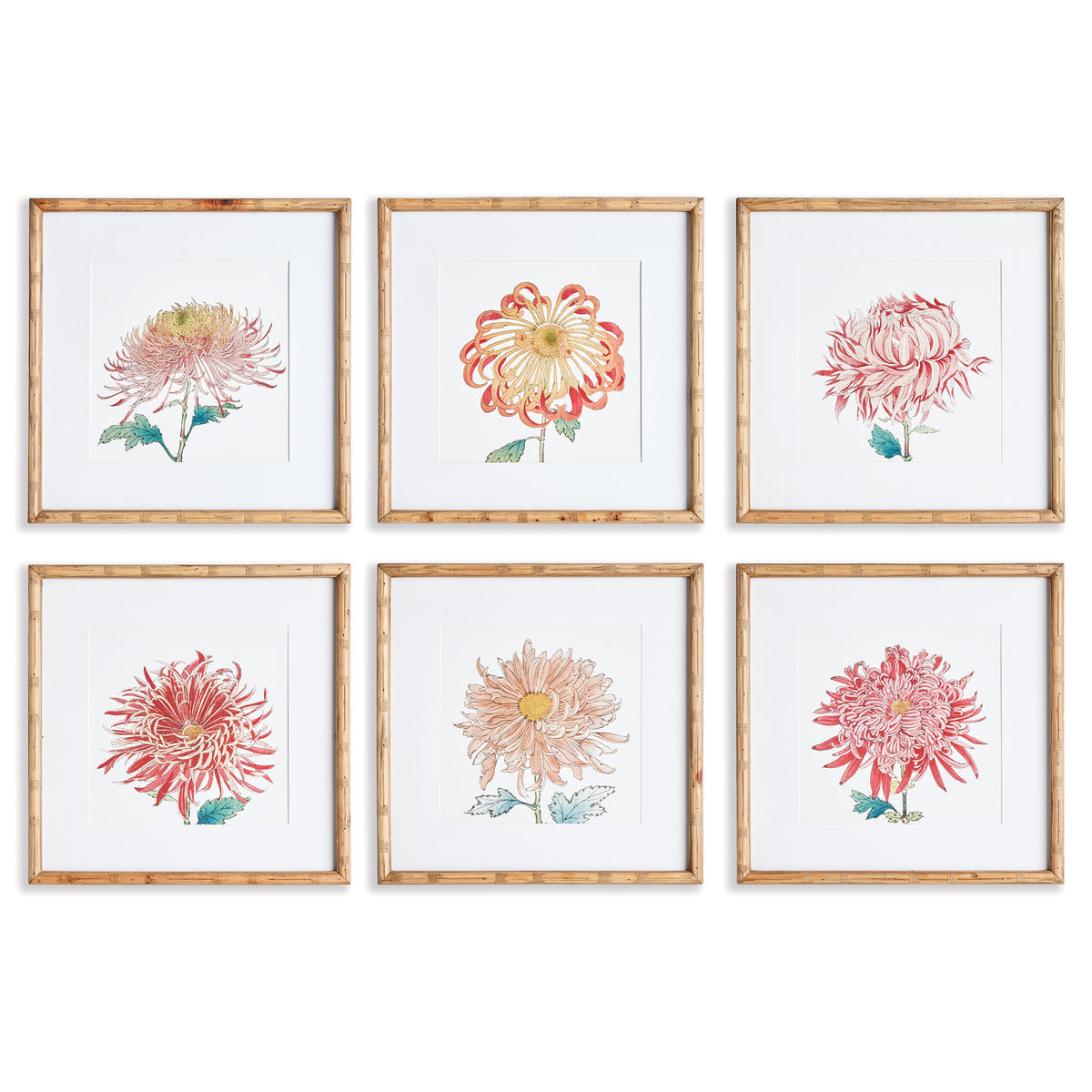Design Shop Colorful Chrysanthemum Prints, Set Of 6