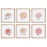 Design Shop Colorful Chrysanthemum Prints, Set Of 6