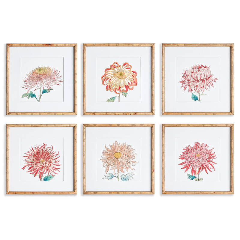 Design Shop Colorful Chrysanthemum Prints, Set Of 6